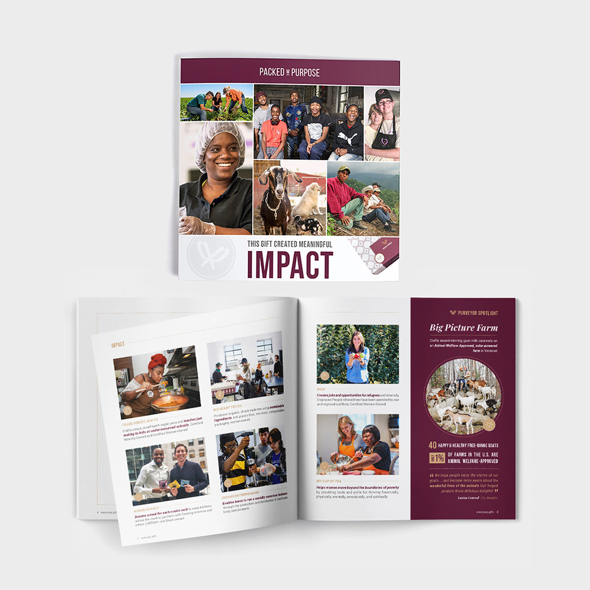 Impact Book by Packed with Purpose featuring stories of social impact partners, included in each gift box